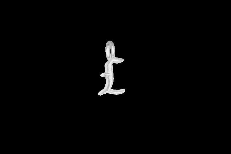 Ix L Ice Charm Silver