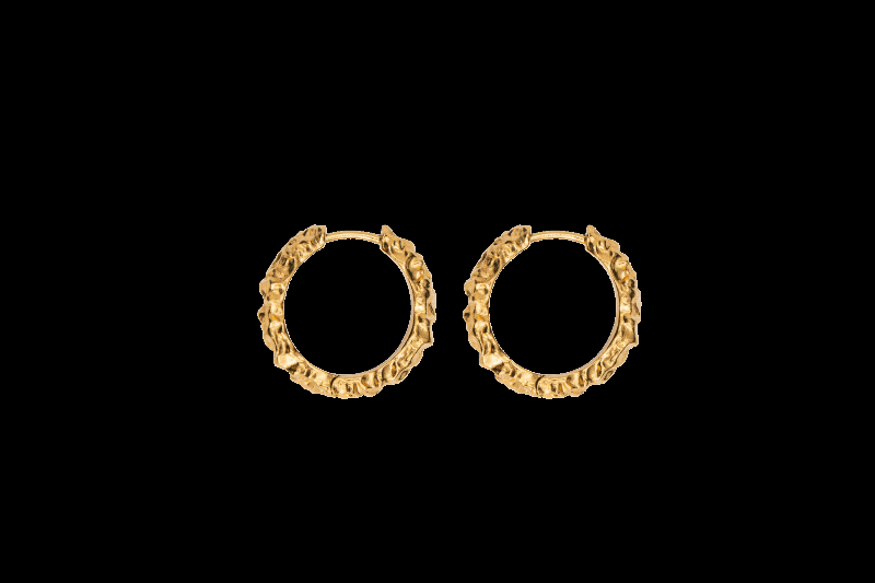 Ix Crunchy Edge Earrings