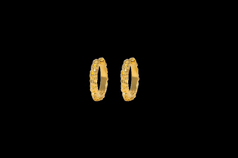 Ix Mini Crunchy Edge Earring