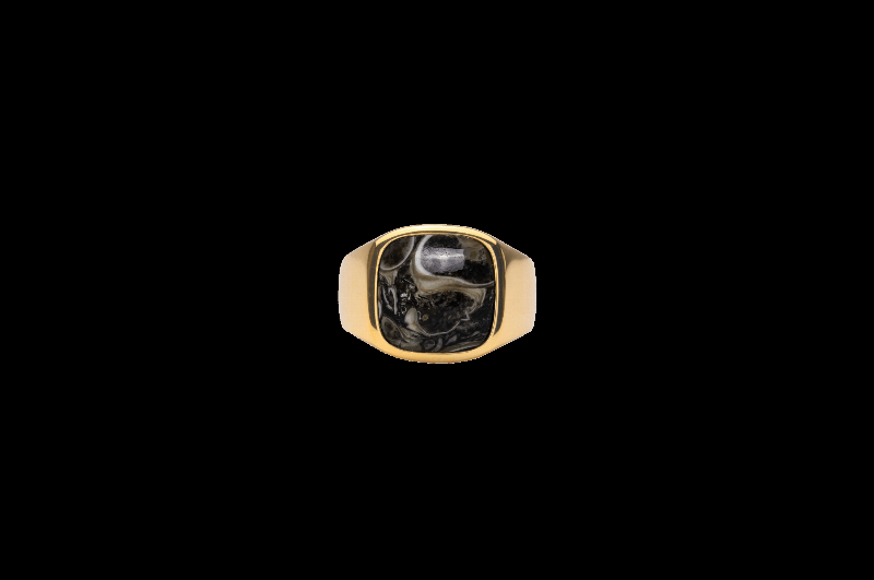 Ix Cushion Signetring med Turtle Agate i Guld