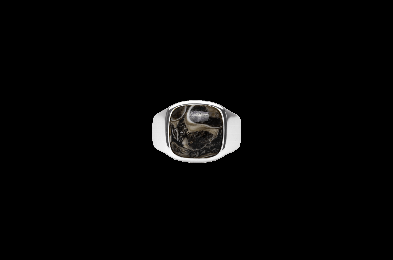 Ix Cushion Signet Ring Turtle Agate Silver
