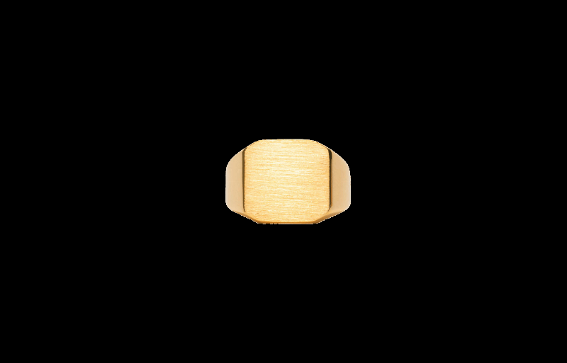 Ix Octagon Signetring - Moderne Design i Guld