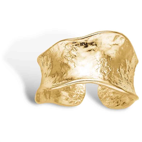 Aiolos Ring Guld