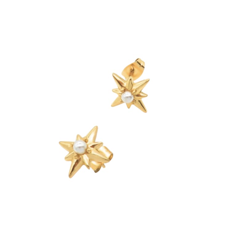 Perle Stjerne Øreringe fra Aqua Dulce - Guld 13 MM