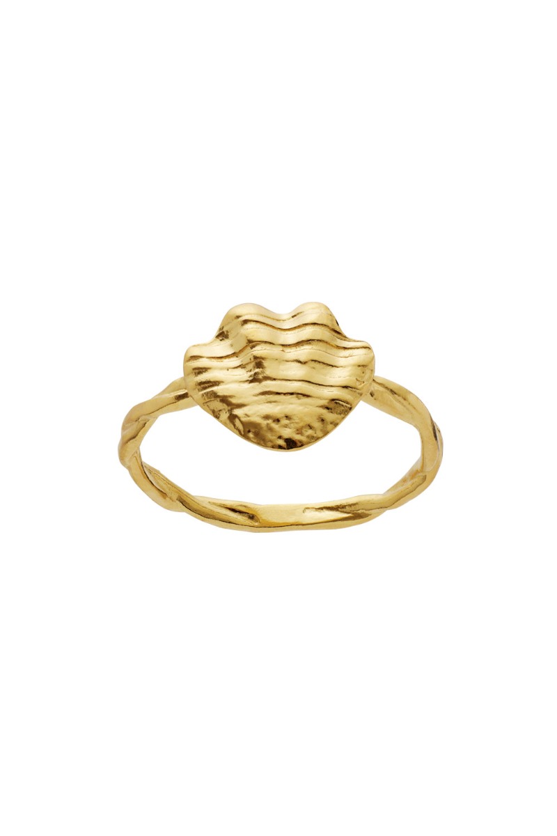 Maanesten Dwyn Ring i Guld - Søde Detaljer til Salg