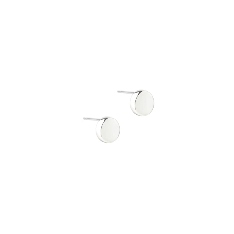 Big Globe Earrings   Silver