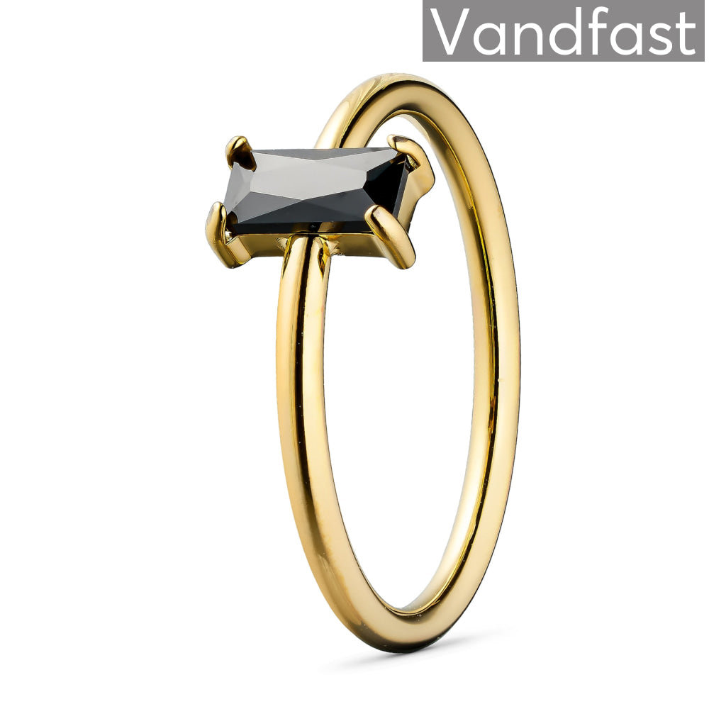 Annebrauner Deluxe Petite Sort Ring - 18k Guldbelagt