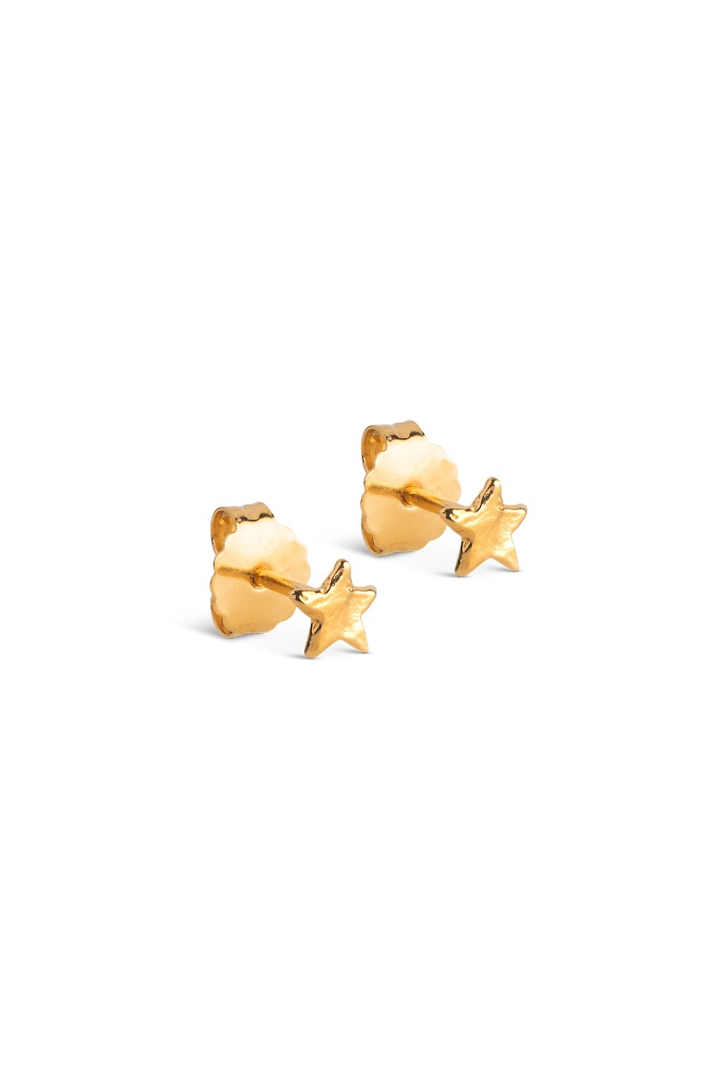 Stjernestuds i guld fra Enamel - Klassiske øreringe