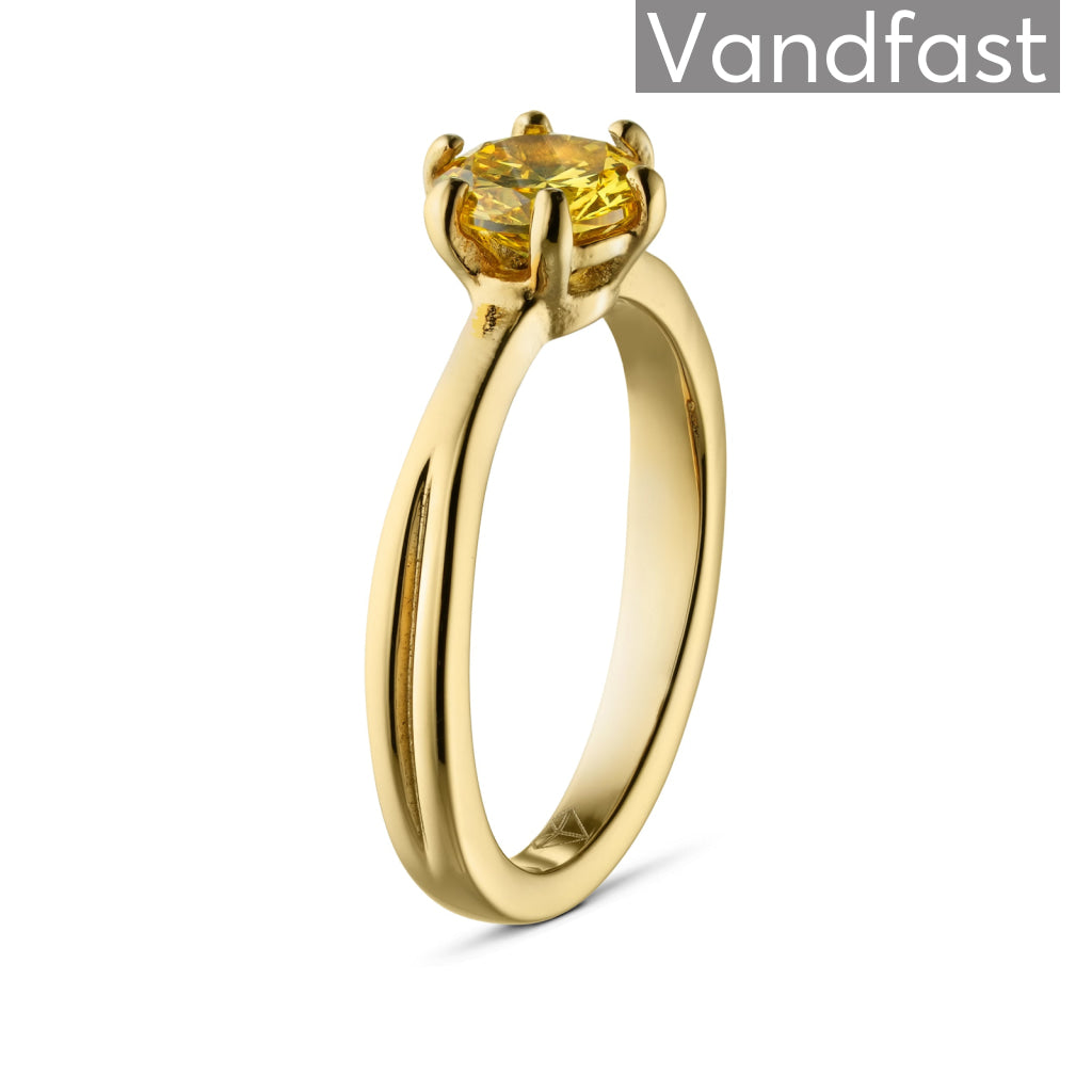 Annebrauner Princess Yellow Ring 18k Guldbelagt - 48