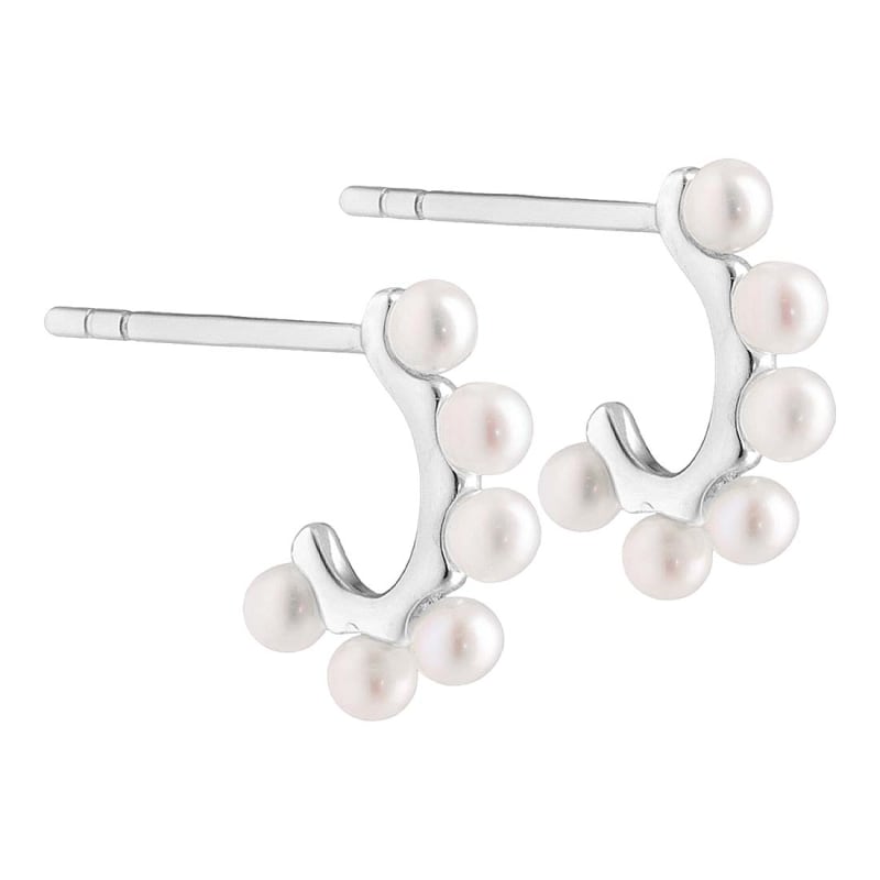 Patricia Hoops  Silver